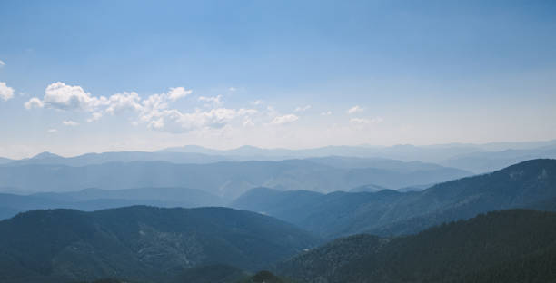 istock Beautiful forest landscape in the Carpathians 1201651972