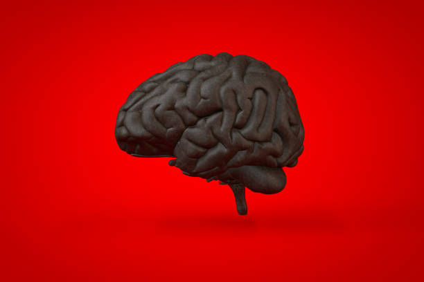 istock Anatomical illustration over a vivid colored background. Brain close-up. 1201653566