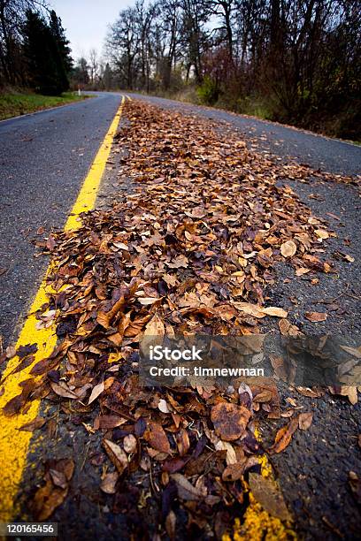 Photo libre de droit de Fallen Leafs De La Route banque d'images et plus d'images libres de droit de Arbre - Arbre, Automne, Bande médiane