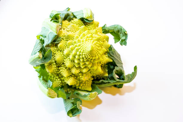 Natural vegetables on a white plate, Romanesco cauliflower. Copy space
