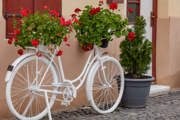 istock White bicycle and red flowers decoration 1201657692