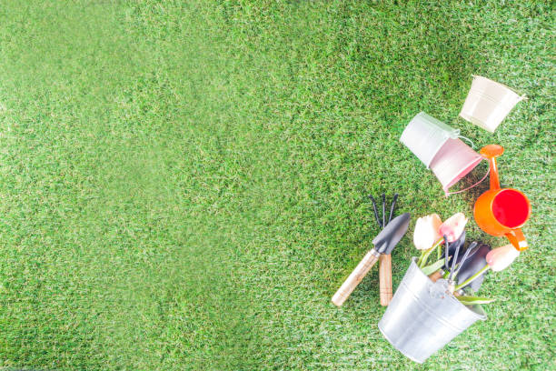 istock Gardening tools and flowers 1201661611