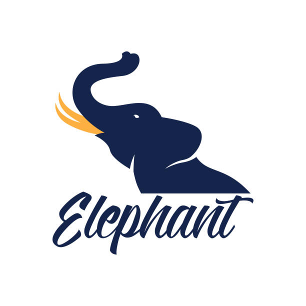 illustrazioni stock, clip art, cartoni animati e icone di tendenza di icona elefante isolata su sfondo bianco, illustrazione vettoriale - elephant head