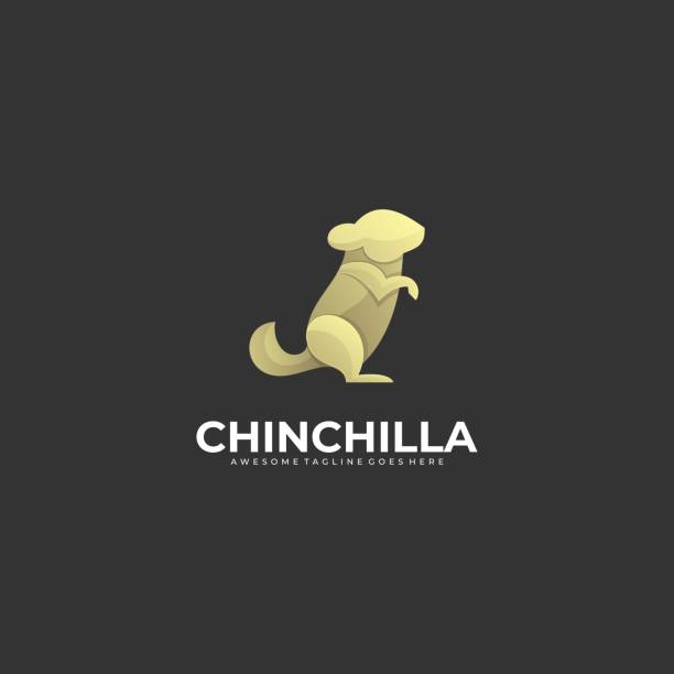 vektor-illustration chinchilla steht gradient bunt. - hamster eating rodent pampered pets stock-grafiken, -clipart, -cartoons und -symbole