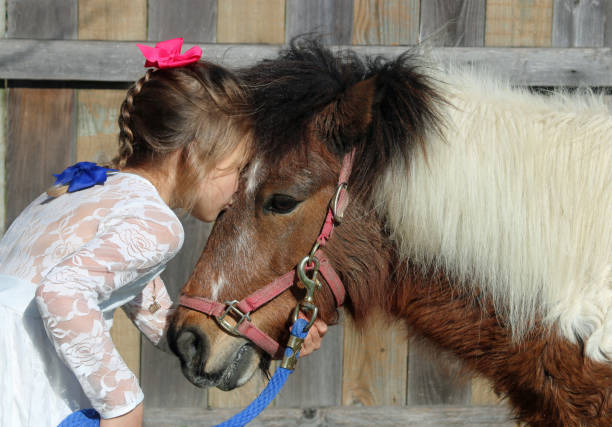 istock Young, blond, 6-year-old caucasian female interacting with paint pony 1201663666