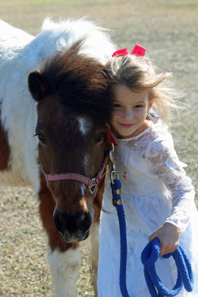 istock Young, blond, 6-year-old caucasian female interacting with paint pony 1201663673