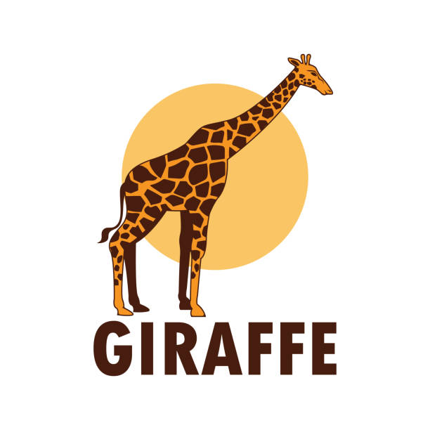 Giraffe icon isolated on white background, vector illustration Giraffe icon isolated on white background, vector illustration giraffe calf stock illustrations