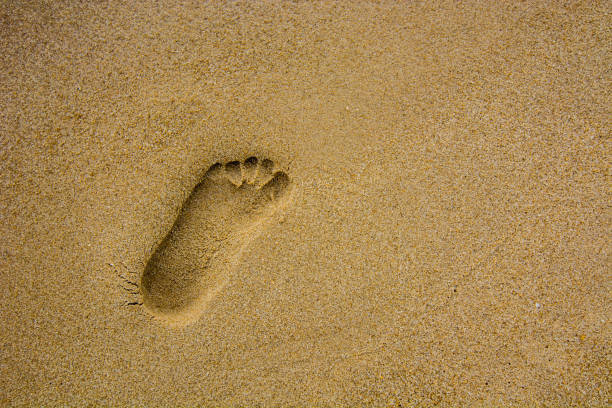 istock Close-up on a footprints in the sand of a beach 1201668623