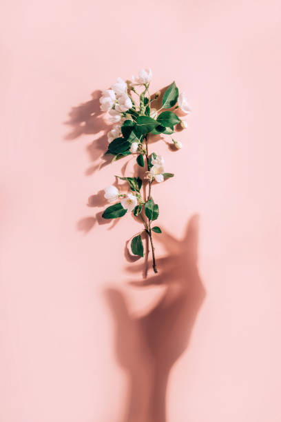 istock Abstract spring background, minimal composition. Apple tree branch on a wooden background in retro style. Spring concept backdrop. Romantic floral background. 1201668681
