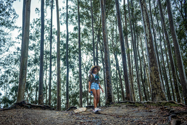 istock Young woman explorer walking in forest 1201669036