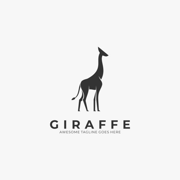 ilustrações, clipart, desenhos animados e ícones de ilustração vetorial silhueta elegante girafa. - mammals