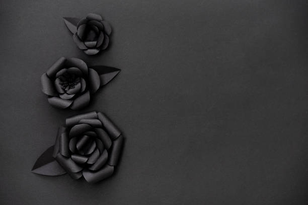 istock Paper cut black flowers photography with copy space on right side. 1201676501