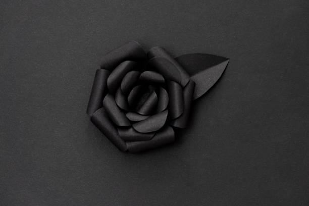 Black paper rose closeup photo.