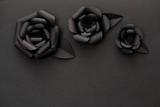 Paper black rose flowers