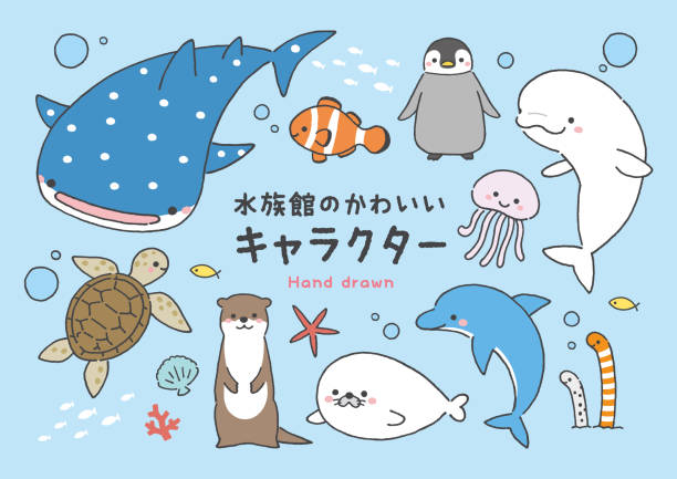 ilustraciones, imágenes clip art, dibujos animados e iconos de stock de animales del acuario - dolphin animal sea underwater