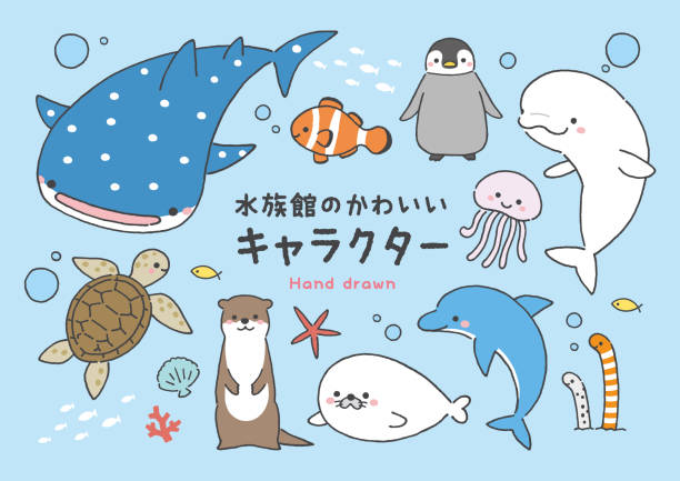 illustrazioni stock, clip art, cartoni animati e icone di tendenza di animali dell'acquario - dolphin animal sea underwater