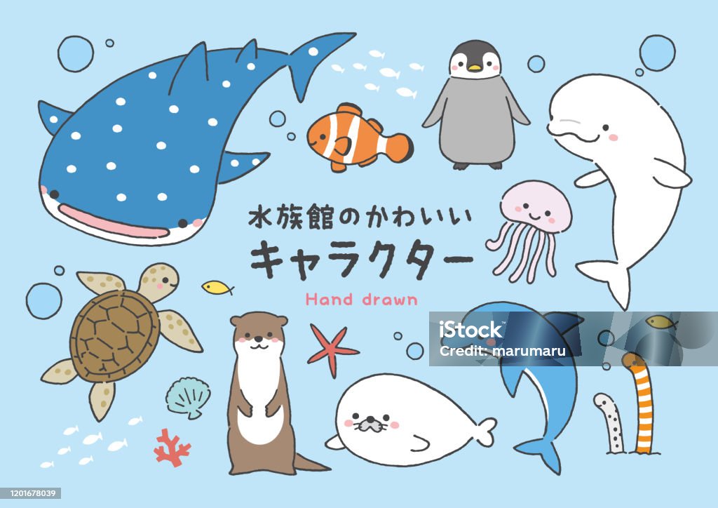 Aquarium Animals Stock Illustration - Download Image Now - Cute, Seal -  Animal, Otter - iStock