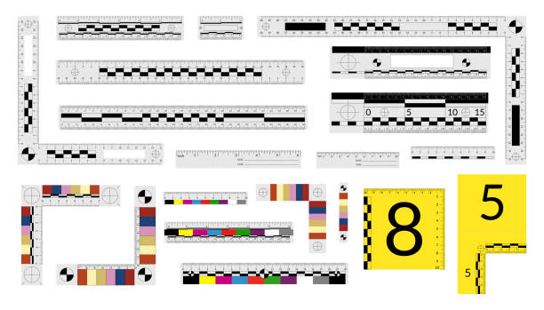 illustrations, cliparts, dessins animés et icônes de ensemble de règles médico-légales pour les détectives de la police pour mesurer les preuves criminelles. - evidence marker