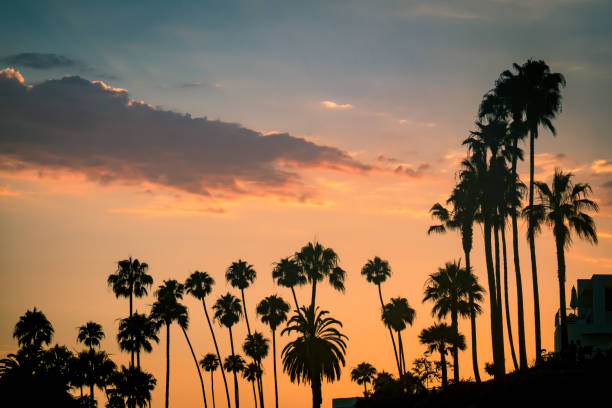istock Southern California Coast at Sunset 1201682289