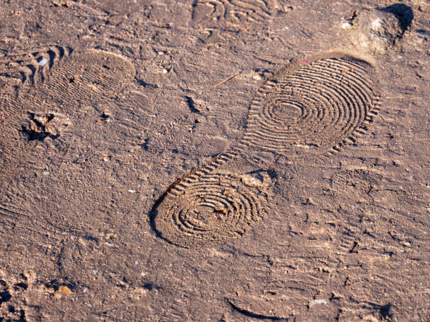 Shoe print in the mud Shoe print in the mud footprint photos stock pictures, royalty-free photos & images