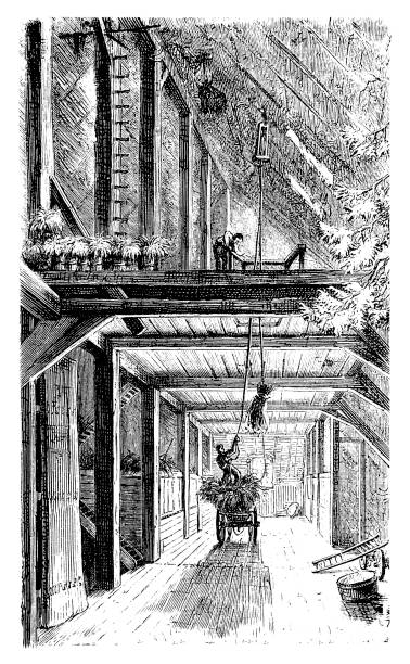 Upper threshing floor on farm Illustration of a Upper threshing floor on farm antique pitchfork stock illustrations