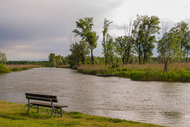 springtime landscape inside the Mincio river regional park during a cloudy morning