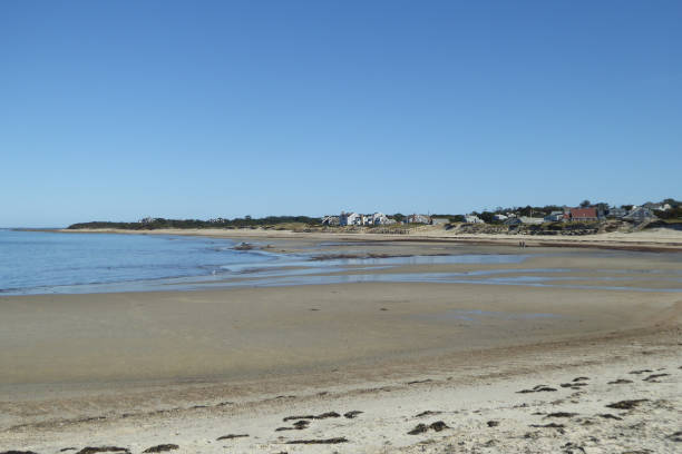 istock Sandy neck dunes, Massachusetts, USA 1201687390