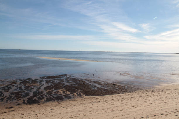istock Sandy neck dunes, Massachusetts, USA 1201687927