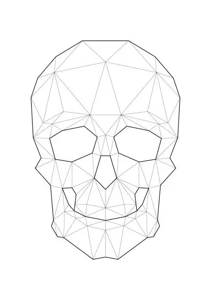 Vector illustration of Low poly illustrations of skull vector illustration. Good for room decorating or other requirements.