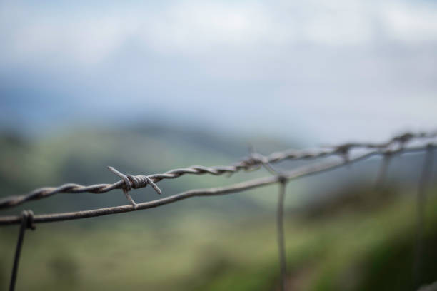 istock Barbed wire fence around a field 1201688732