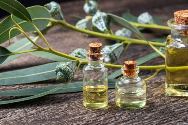 istock Bottles of essential oil with fresh eucalyptus 1201691443