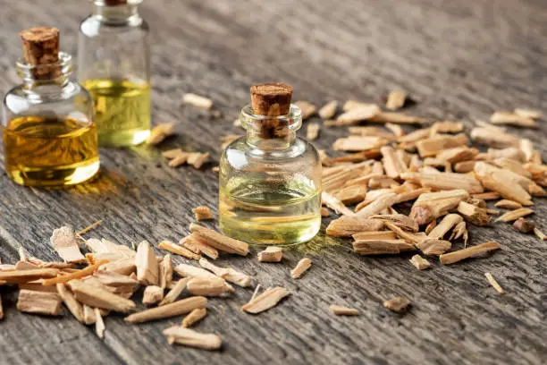 Photo of Bottles of essential oil with cedar wood chips