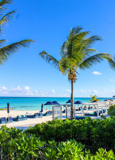 istock Mayakoba beach, Yucatan, Mexico 1201693233