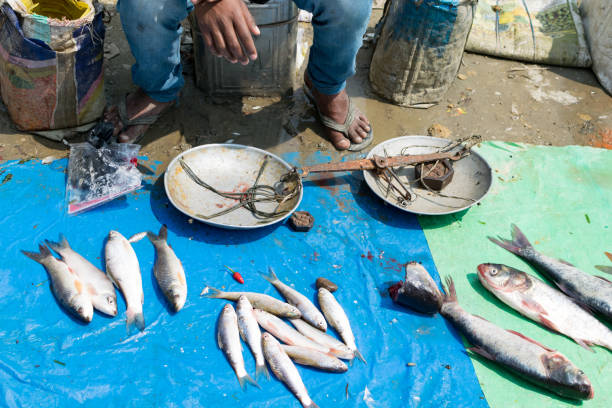 istock Roadside market at Dibrugarh - India. 1201693892