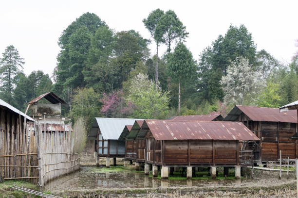 istock Rice paddy and traditional houses in Ziro 1201694739