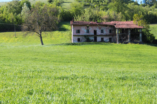 istock lawn farmhouse 1201697393