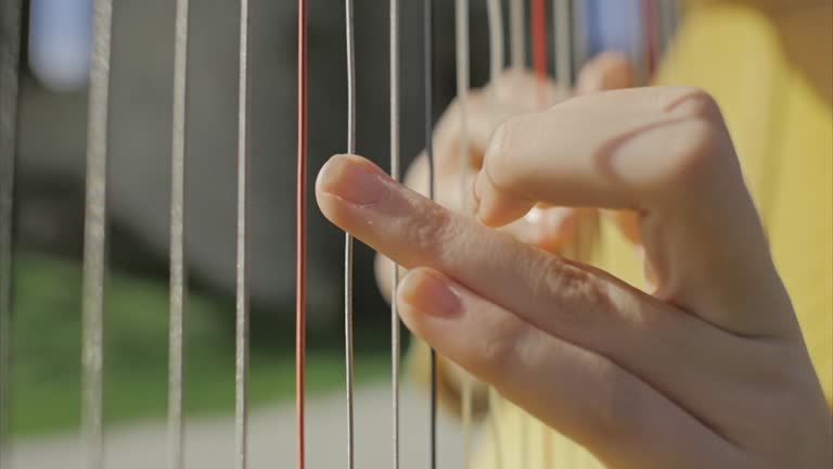 Harpa Alat Musik Dawai Foto Foto Video Stok Rekaman Bebas Royalti Harpa Alat Musik Dawai Foto Foto Video Stok Rekaman Bebas Royalti