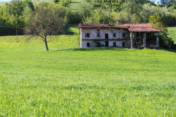 istock lawn farmhouse 1201699515