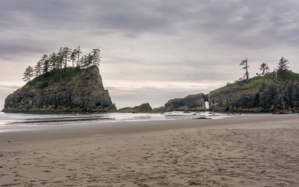 acantilados en el océano en la segunda playa de la push - el lugar más hermoso en el condado de clallam, washington, ee.uu. impresionante playa, océano, naturaleza - route 1 pacific ocean beach cliff fotografías e im�ágenes de stock