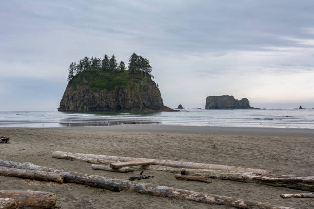 acantilados en el océano en la segunda playa de la push - el lugar más hermoso en el condado de clallam, washington, ee.uu. impresionante playa, océano, naturaleza - route 1 pacific ocean beach cliff fotografías e imágenes de stock