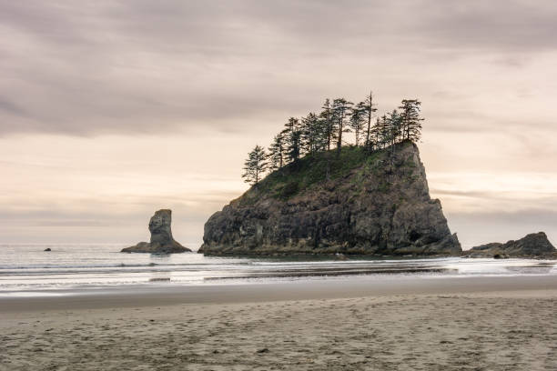 acantilados en el océano en la segunda playa de la push - el lugar más hermoso en el condado de clallam, washington, ee.uu. impresionante playa, océano, naturaleza - route 1 pacific ocean beach cliff fotografías e imágenes de stock