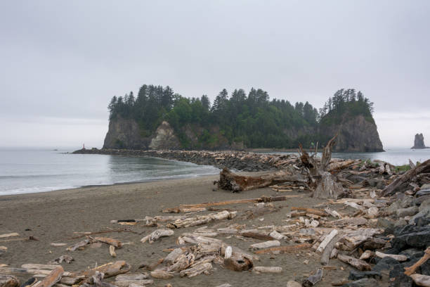 La Push - the most beautiful place in Clallam County County, Washington, USA. Impressive beach, ocean, nature stock photo