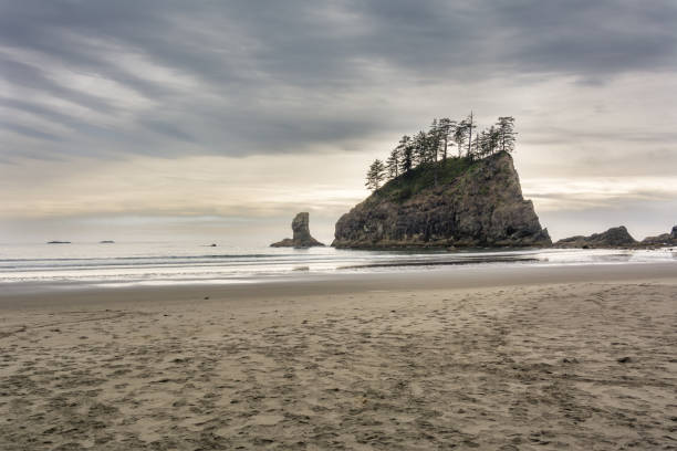 acantilados en el océano en la segunda playa de la push - el lugar más hermoso en el condado de clallam, washington, ee.uu. impresionante playa, océano, naturaleza - route 1 pacific ocean beach cliff fotografías e imágenes de stock