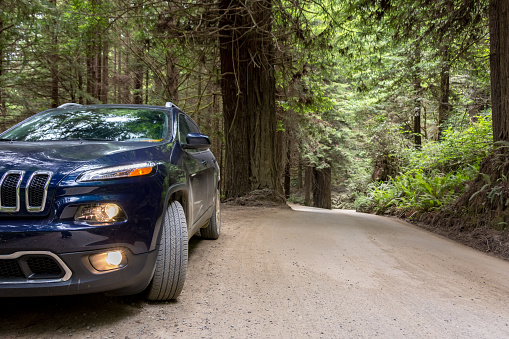 Redwood, California USA - June 18, 2015: Offroad car on a dirt road in a forest, California USA