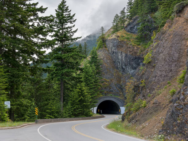 road tunnel - olimpiyat ulusal parkı'ndaki dağ tüneli, olimpiyat yarımadası, washington state abd - hurricane stok fotoğraflar ve resimler