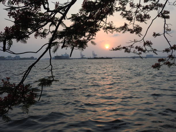 istock Kochi Portwaters at Sunset 1201713297