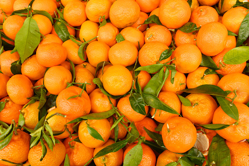 This is a close up photograph of orange citrus fruit from Spain on retail display at an outdoor farmer’s market in Paris, France.