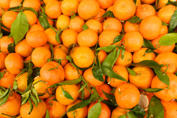 Fresh Oranges From Spain For Sale in Outdoor Market Paris France This is a close up photograph of orange citrus fruit from Spain on retail display at an outdoor farmer’s market in Paris, France. valencia orange photos stock pictures, royalty-free photos & images
