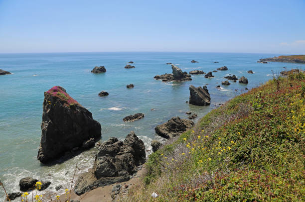 istock Landscape with Gleason Beach 1201717449