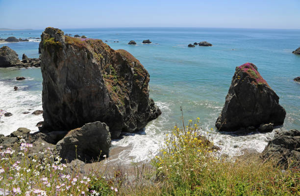 istock Big rocks on Gleason Beach 1201717589